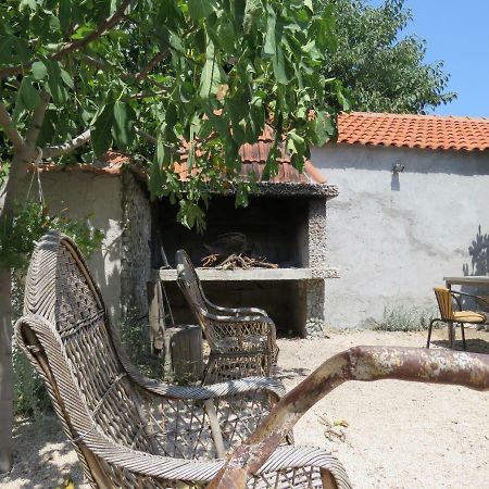 Guesthouse Dila Galovac  Ngoại thất bức ảnh