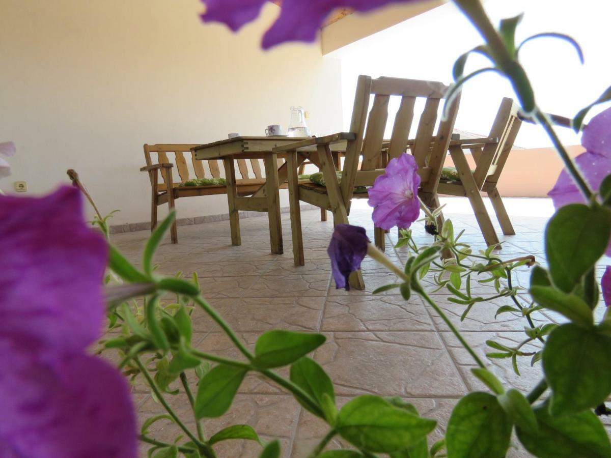 Guesthouse Dila Galovac  Ngoại thất bức ảnh